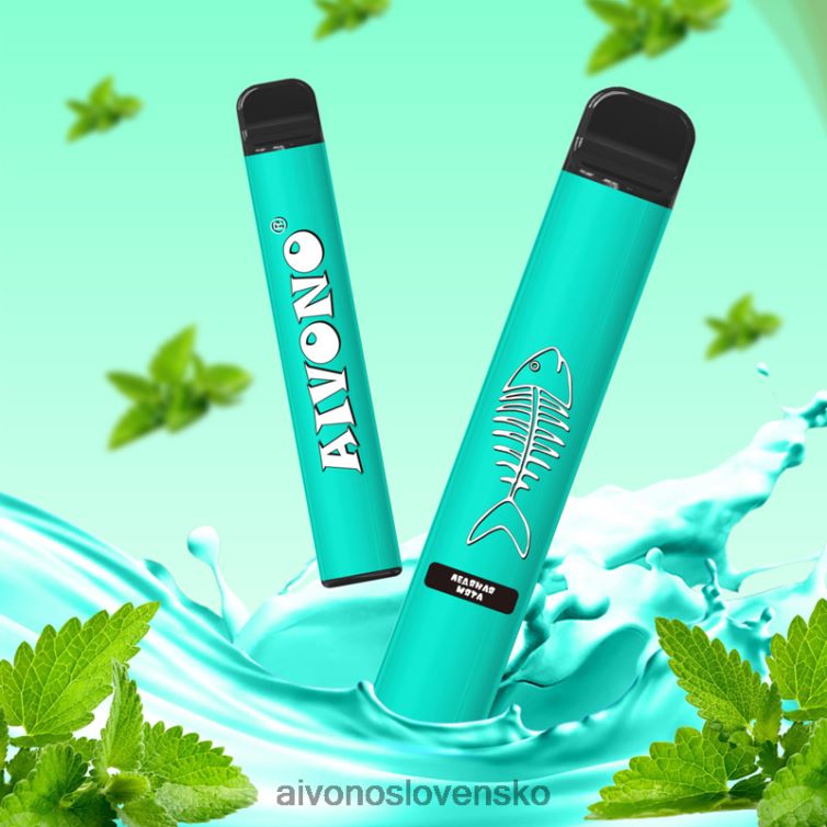 Aivono Slovensko 62L8BJ278 Aivono AIM FISHBONE 600 chladná mäta