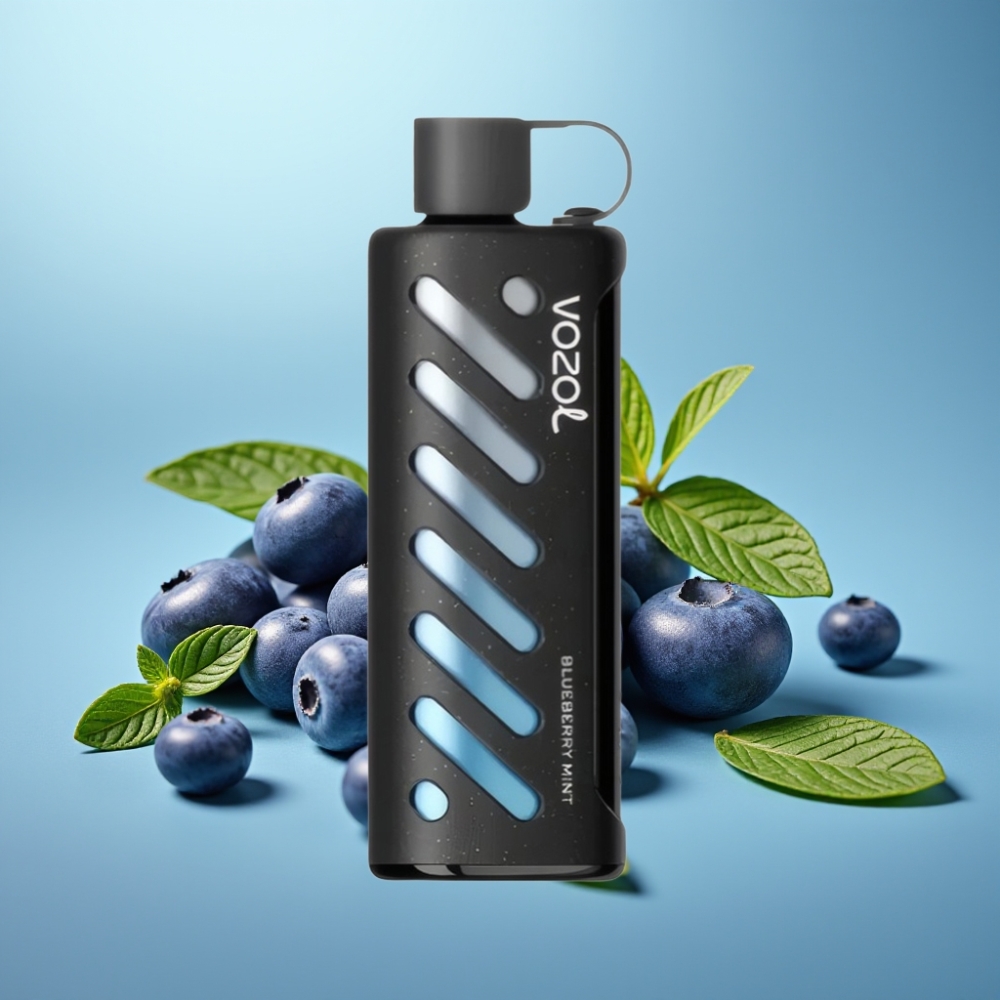 VOZOL Gear Shisha 25000 Puffs Jednorazové Vape Čučoriedka-Mäta s 5mg/ml Nikotínu