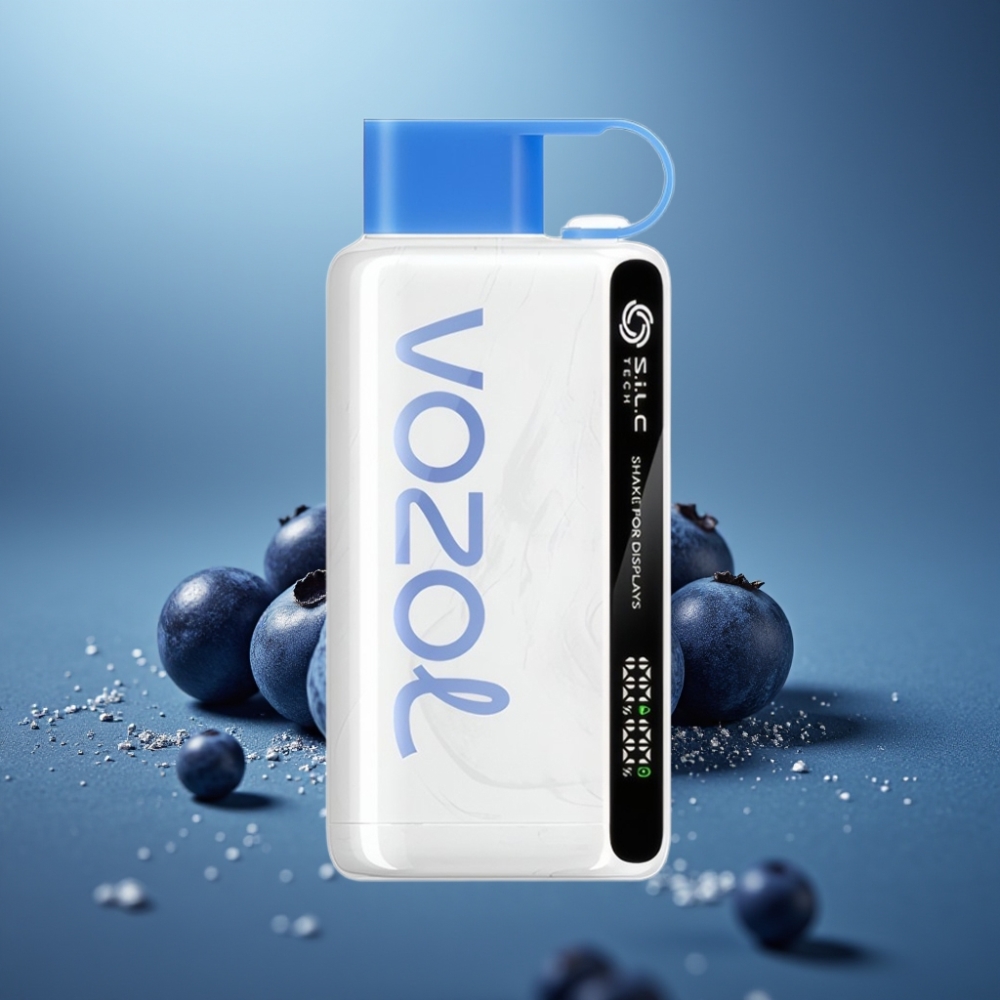 VOZOL STAR 9000/12000 Jednorázová Vape Čučoriedková Búrka s 650mAh a SiLC TECH