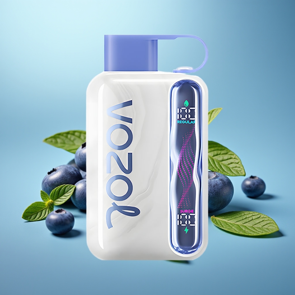 VOZOL STAR 40000 Puffs Jednorázová E-cigareta Čučoriedka Mätová 1000mAh VOZOL STAR 40000 Jednorázová E-cigareta Type-C